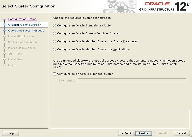 Oracle 12c RAC 安装文档 