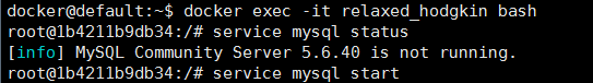 macOS下通过docker在局域网成功访问mysql5.6数据库第2张