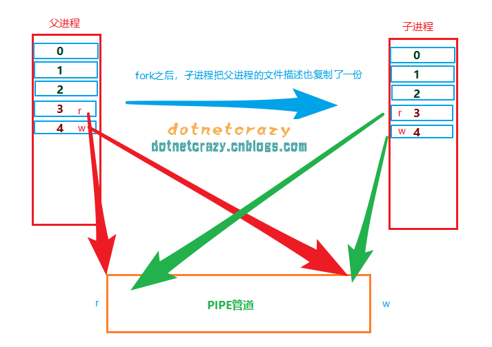 父子进程图示