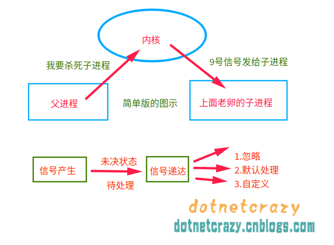 3.signal图示