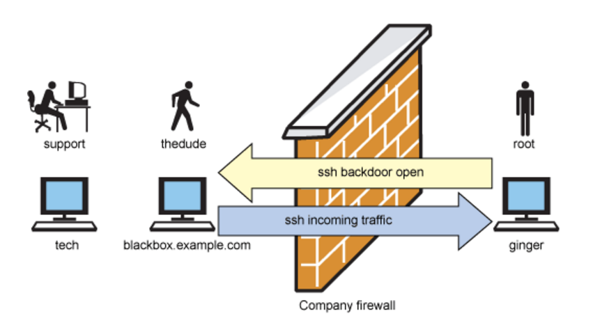 Back door перевод. Backdoor. Бэкдор вирус. Бэкдор схема. Схема Backdoor.