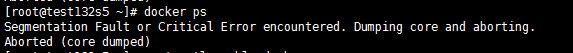 【Docker】Segmentation Fault or Critical Error encountered. Dumping core and abort