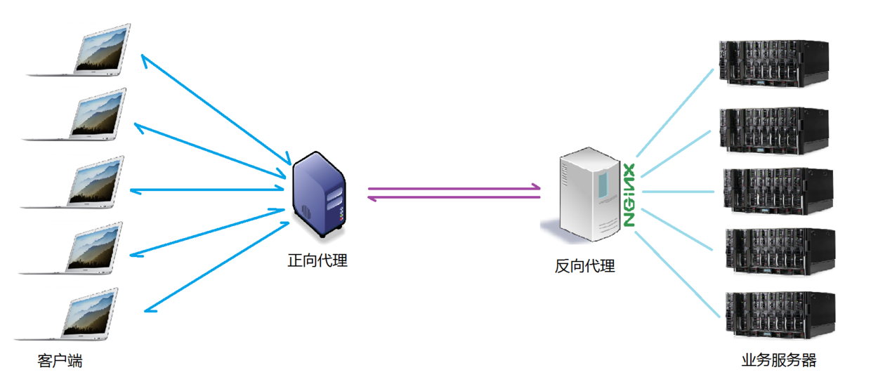 Nginx是什么?能干嘛?一問帶你深入了解Nginx。