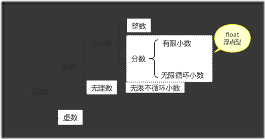 复数和浮点型