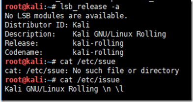 kali linux how to use ssh