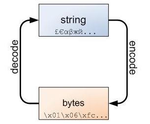 Python3的bytes/str之别