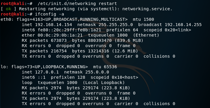 kali linux网络配置