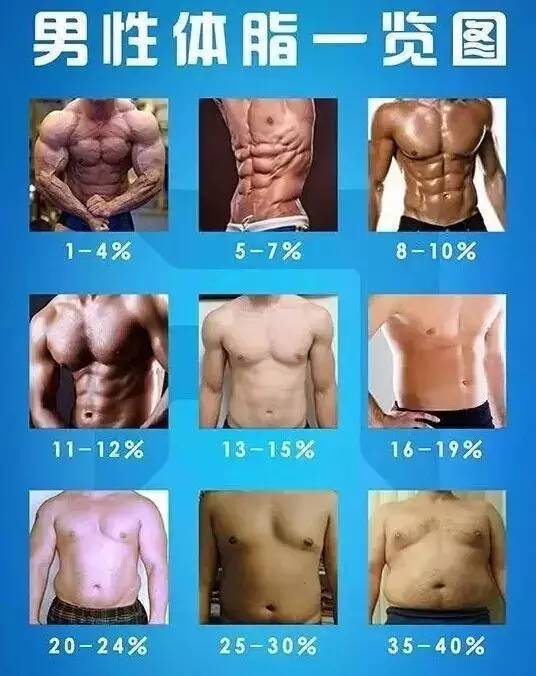 男生体脂率一览图