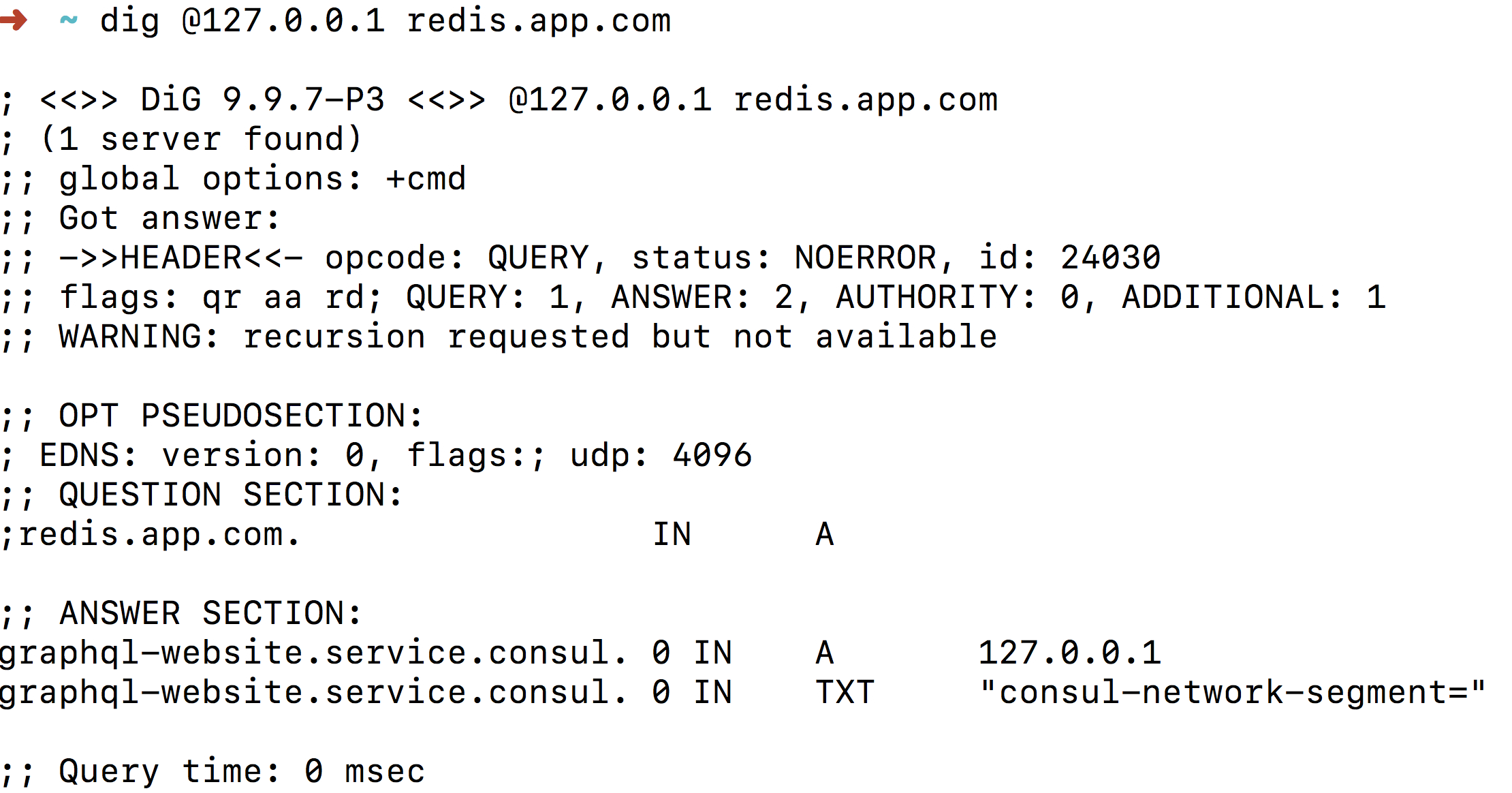 coredns 代理consul 运行noamd 部署的应用第4张