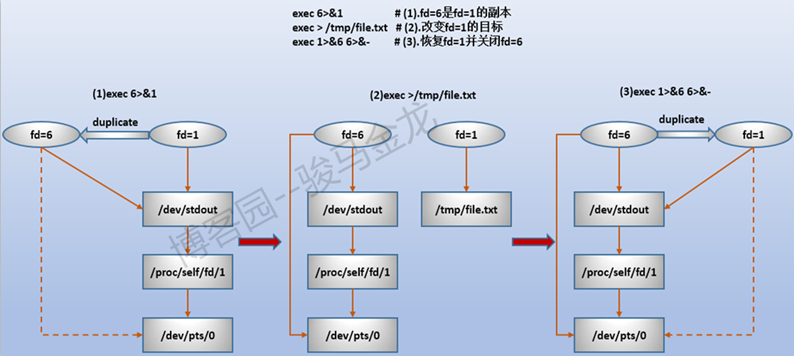 彻底搞懂shell的高级I/O重定向