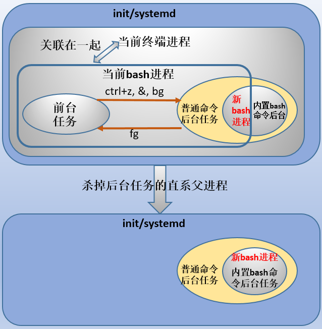 Bash内置命令的特殊性 后台任务的 本质 骏马金龙 博客园