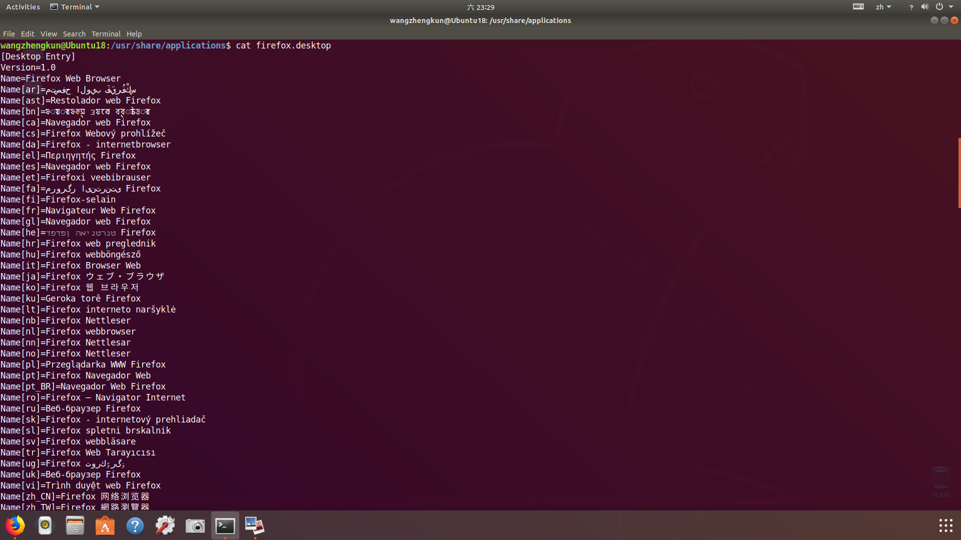 Ubuntu18.04 Desktop Entry第3张