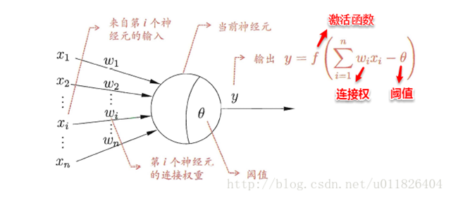 神经元