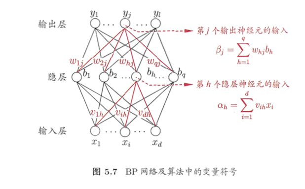 BP算法