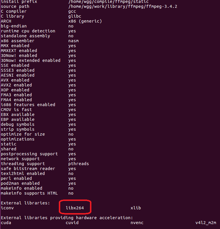 linux paste the ffmpeg build command